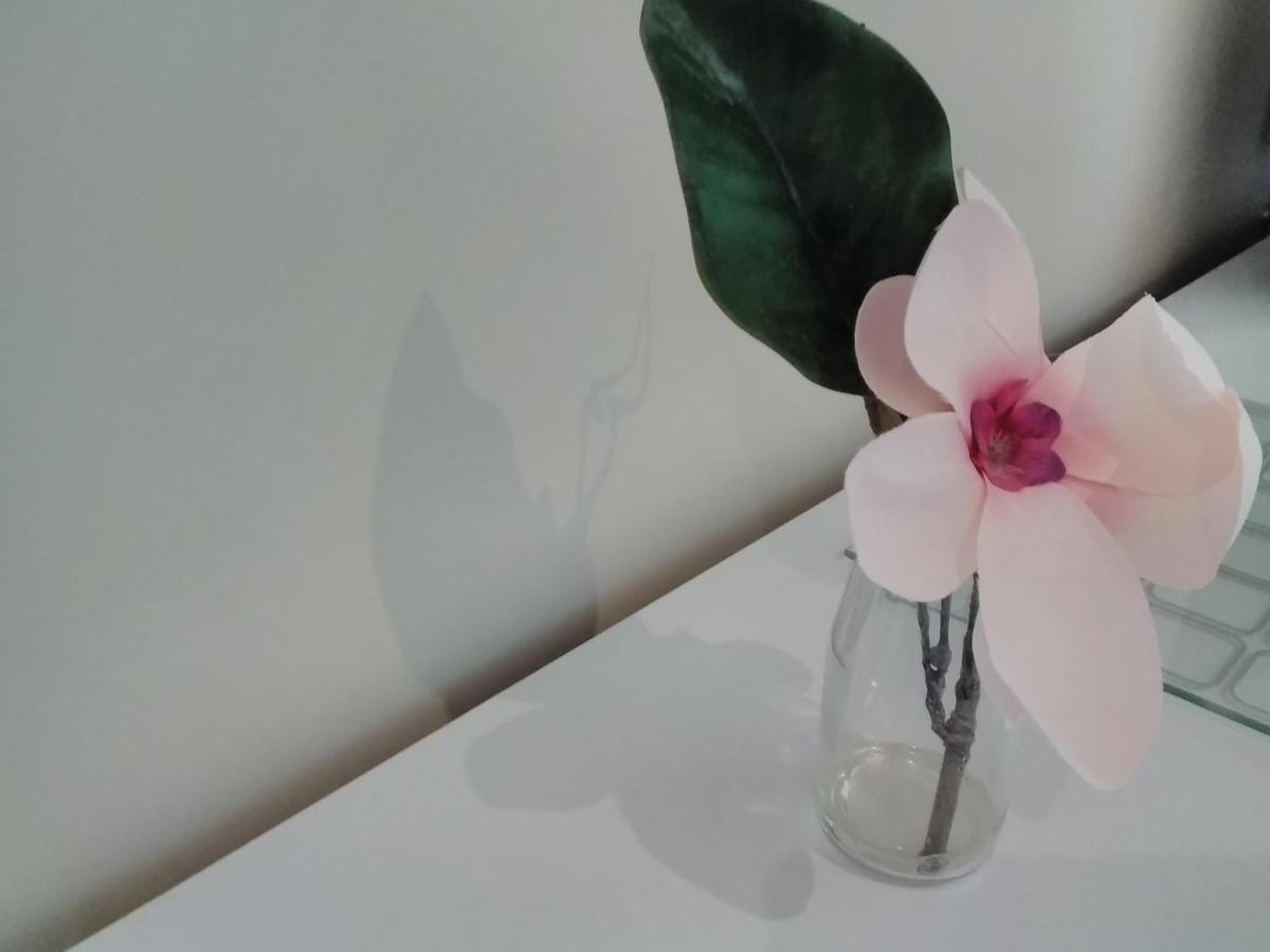 Windermere Studio Rooms - With Free Car Parking Onsite Exterior foto